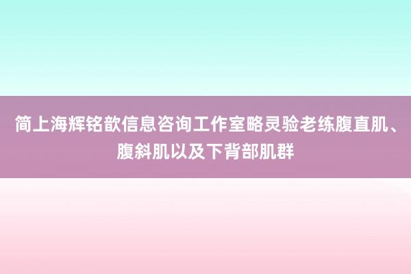 简上海辉铭歆信息咨询工作室略灵验老练腹直肌、腹斜肌以及下背部肌群