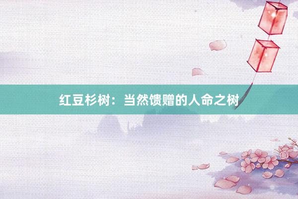 红豆杉树：当然馈赠的人命之树