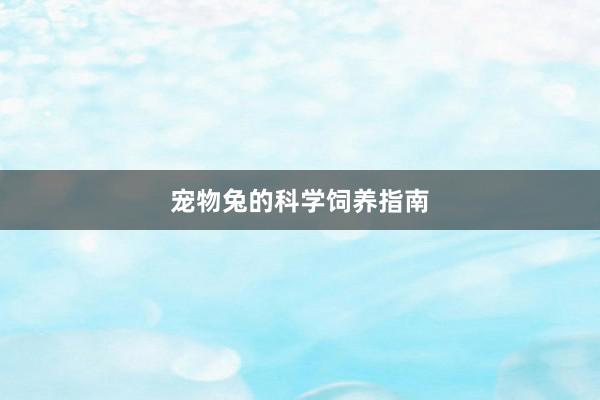 宠物兔的科学饲养指南